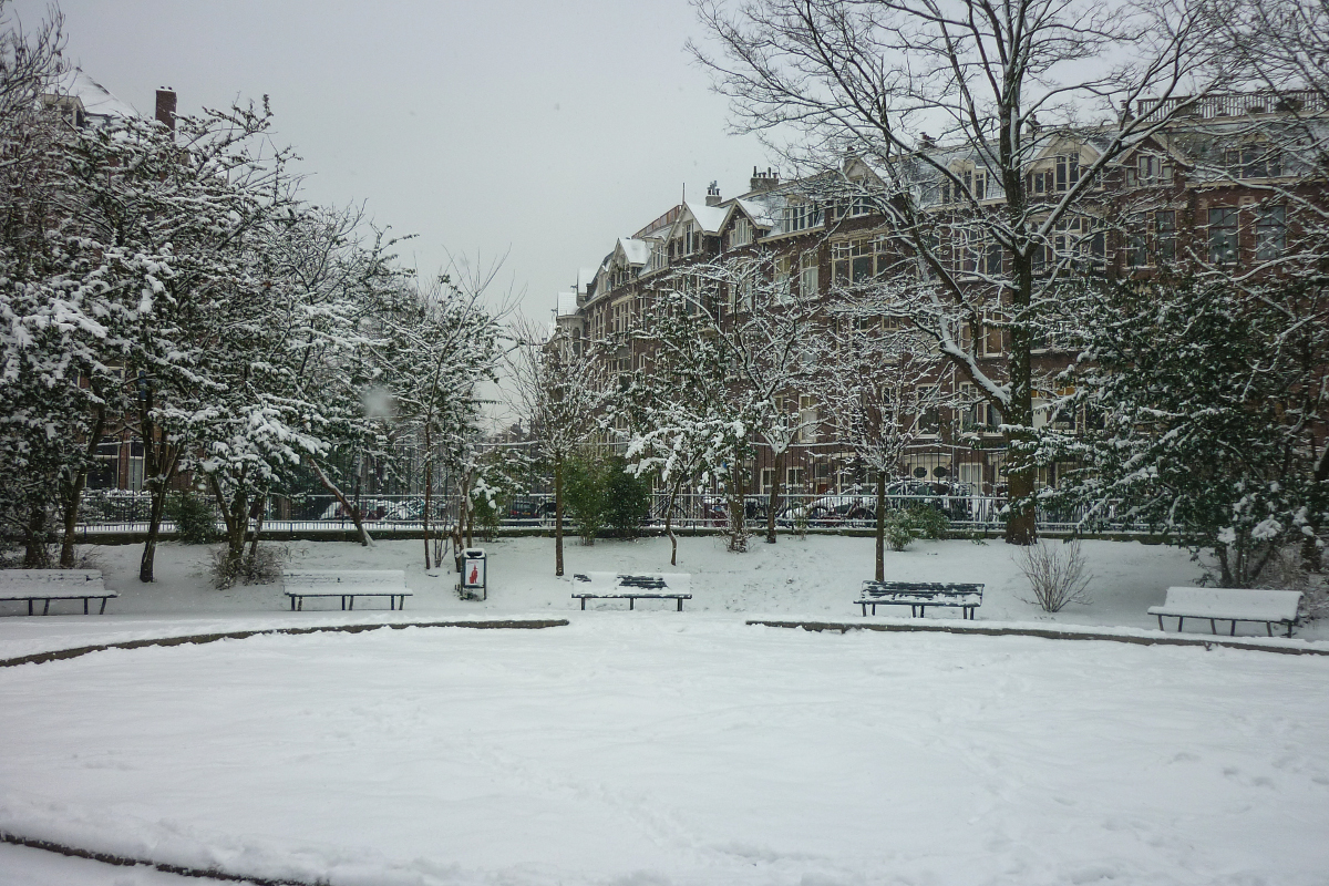 Amsterdam in the Snow Amsterdam in the Snow