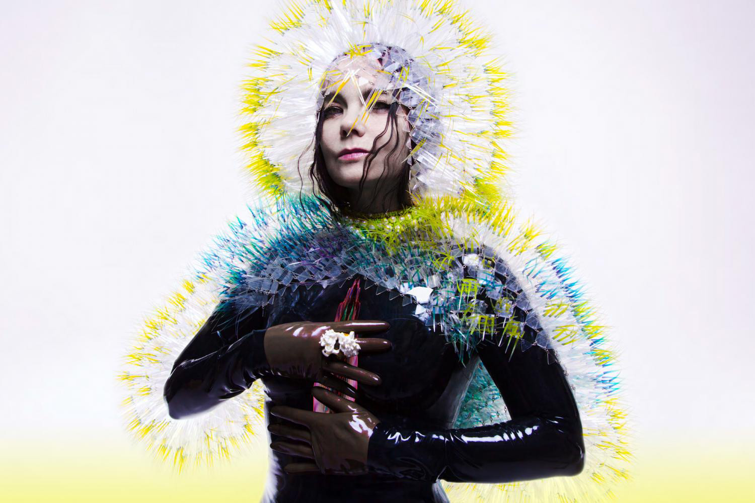 Bjƶrk – Vulnicura Bjƶrk – Vulnicura
