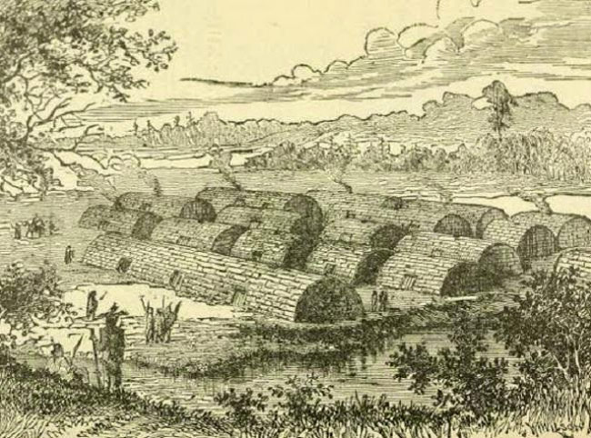 3-lenape_650