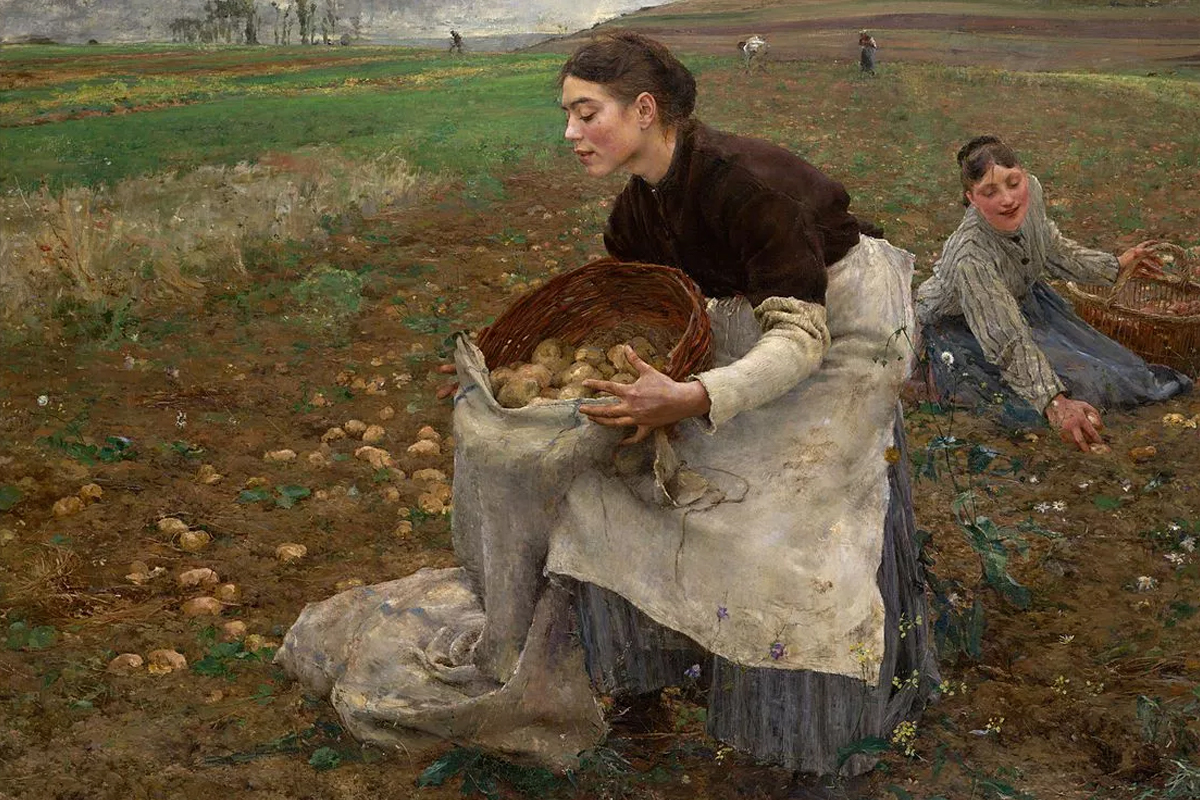 A Cultural History of the Potato as Earth Apple A Cultural History of the Potato as Earth Apple