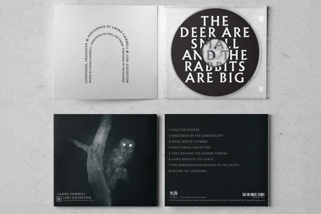 Laura Cannell & Lori Goldston – The Deer Are Small And The Rabbits Are Big Laura Cannell & Lori Goldston – The Deer Are Small And The Rabbits Are Big