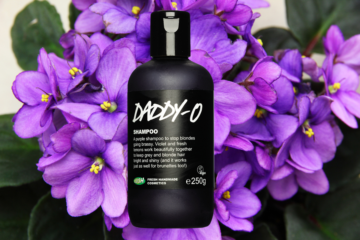 Put This On Your Self: Daddy-O Shampoo by Lush Put This On Your Self: Daddy-O Shampoo by Lush