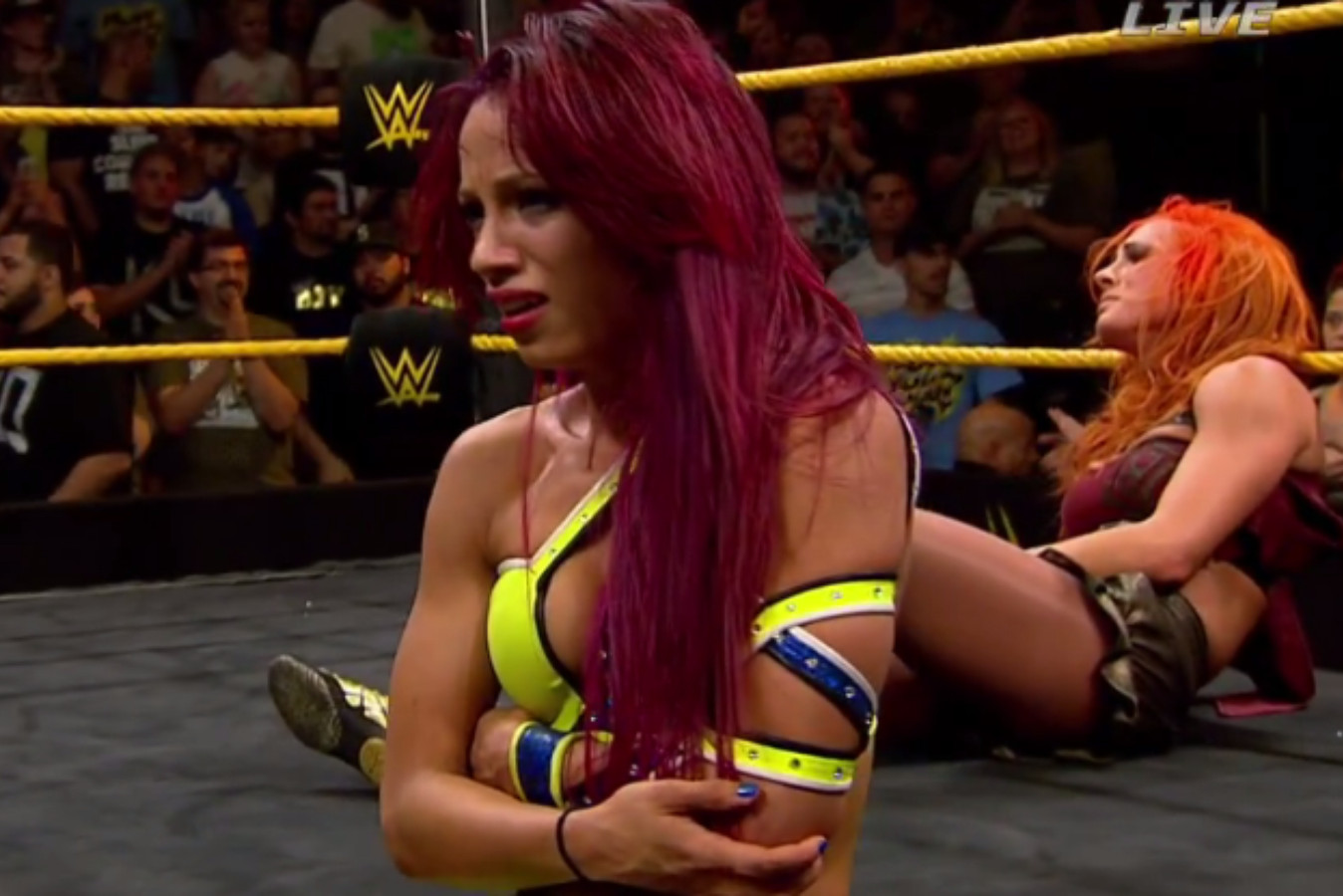 Daily Visual 21.05.15: Sasha Banks Holds Her Arm in Victory Daily Visual 21.05.15: Sasha Banks Holds Her Arm in Victory
